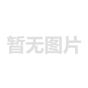 《關(guān)于加強(qiáng) 非煤礦山安全生產(chǎn)工作的指導(dǎo)意見》